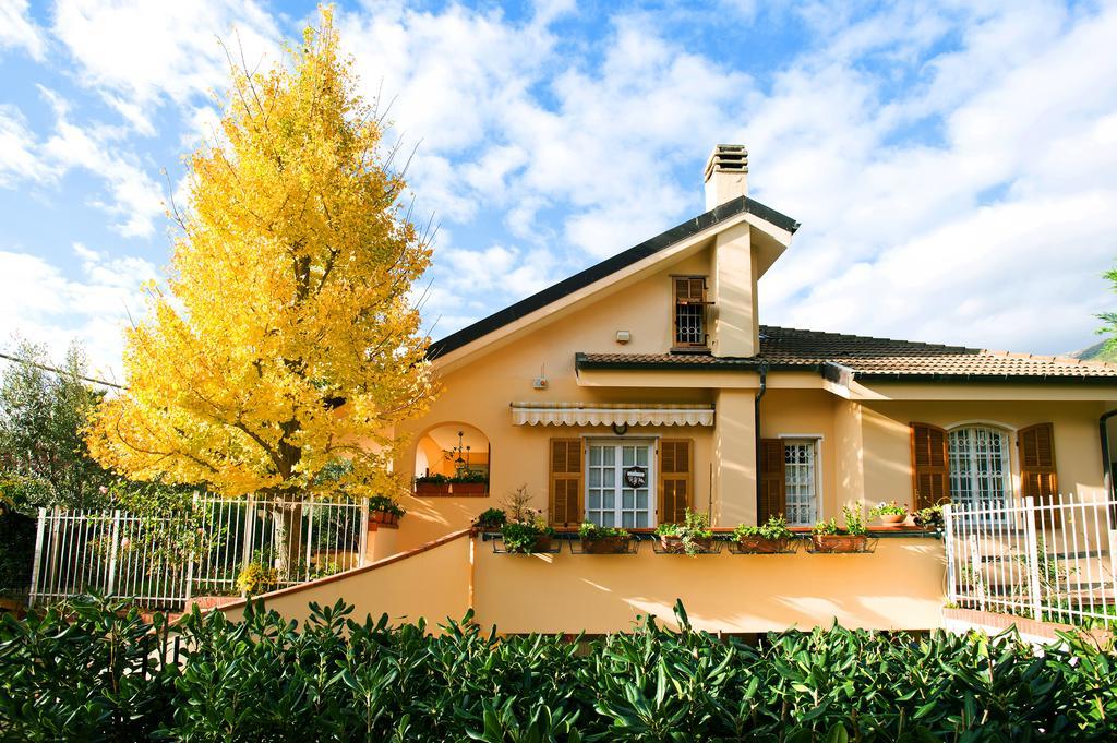 チェリアーレ L'Albero Della Vita Bed & Breakfast エクステリア 写真